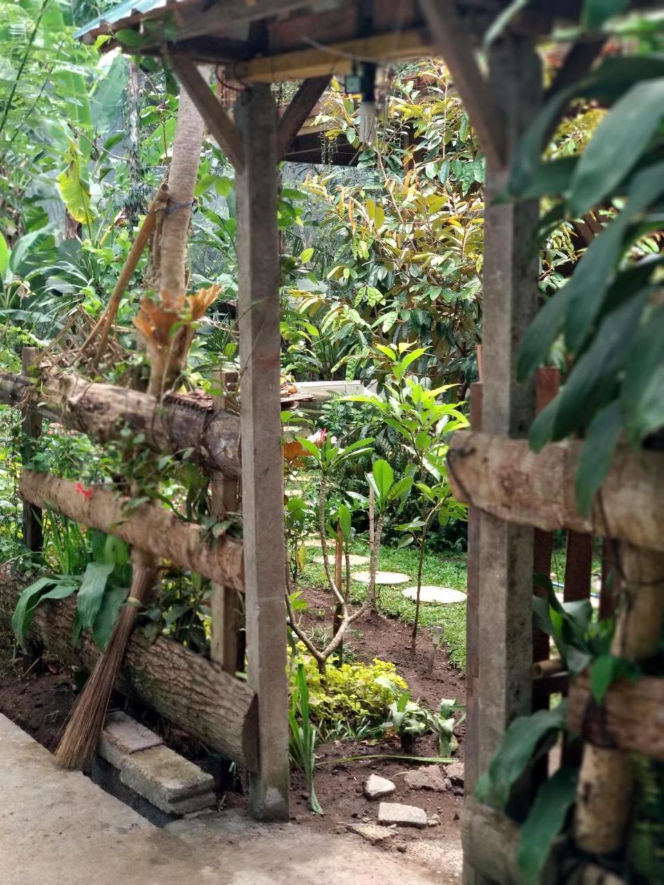 Jungle Joglo Vendégház Tampaksiring Kültér fotó
