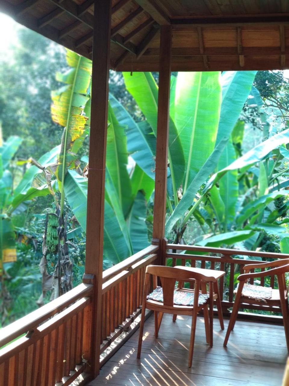 Jungle Joglo Vendégház Tampaksiring Kültér fotó