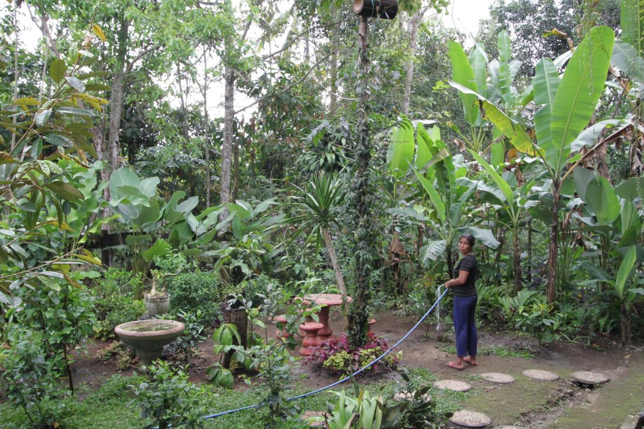 Jungle Joglo Vendégház Tampaksiring Kültér fotó